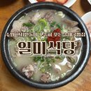 일미식당 | 수원역 순대국밥 노포, 고기 양에 놀랐던 일미식당 국밥 후기