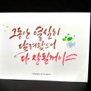 꽃영남캘리그라피