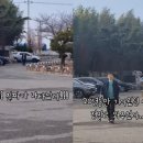 영암초등학교 이미지