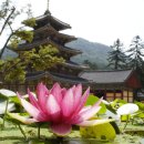 속리산공예 네이버블로그