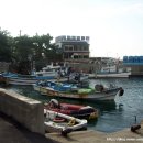 대포연대 이미지