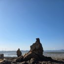 구봉도(제1대부해솔길) 화장실 | [경기도둘레길/안산 ] 2월 구봉도 대부해솔길 1코스, 바닷길을 걷다