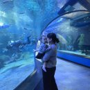 해운대불고기 화명점 | 424~427일, 육아 일기 (부산 여행)