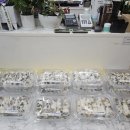 백세떡
