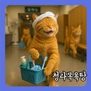 청라목욕탕 | 청라목욕탕 방문기, 깔끔함과 푸근함을 동시에 느낀 인천 동네 사우나 후기