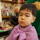 파마미용실(PAMA)