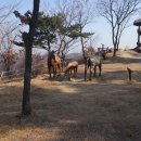 2016년2월산행(구룡포.응암산.주상절리) 이미지