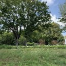 금빛가든 이미지