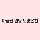 마금산원탕보양온천 이미지