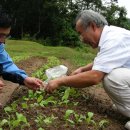 열무농장 이미지