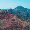 2018년 4월1일 여수 영취산 진달래축제 산행 이미지