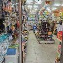 팔마문구 이미지