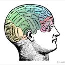 마음과 뇌: 전전두엽의 기능 이미지