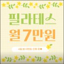 강서안전교육센터 | 강서 필라테스 뱃살 관리 리포머박스 광배근운동