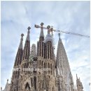 가이드 민박 | 바르셀로나 한인민박 로꼬민박 | 호텔보다 실속 있는 가성비 숙소 추천 &amp; 위치 가이드