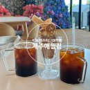 [제주 빅프렌즈미디어카페] 제주 애월해안도로에 위치한 애견동반 카페