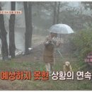 자연동화유치원 이미지