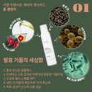 지엘(Xiel) 이미지