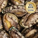 완도전복 - 안산시 상록구 양지편1길 26 | 완도전복