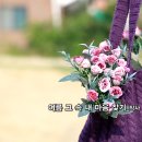 여름특집_발라드_여름 그 속 내 마음 찾기_작사 정원 주효주_가수 효주_작 편곡_수노_기획 편집 윤기영 이미지