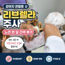 백제동물약품 | 강아지 관절염 리브렐라 주사, 노견 월 1회 후기