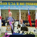 로이바스