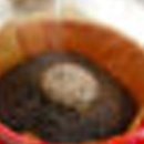 카페 인 타코야키 이미지