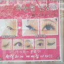 엘속눈썹 이미지