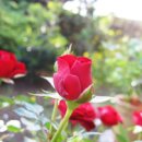 지혜농장 이미지