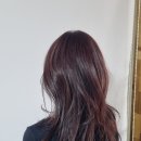 울산 무거동 미용실 아르헤헤어 레이어드컷 재방문 후기 울산대 커트 잘하는곳