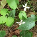 북정경로식당 | 2022-06-04 신한북정맥 동진 6구간(큰넋고개-봉수교차로)