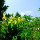 복주 이미지