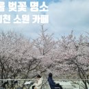 소원카페 | 양재천 벚꽃 카페, 데이트 하기 좋은 여의천 소원 카페 후기
