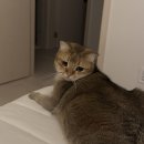 하이원레지던스 | [2026.08] 동유럽_여행 준비