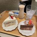 슬로우터틀