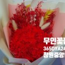 창원중앙동 무인꽃집 정우상가 맞은편 365day24h