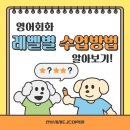 기초영어 2반 | [산본성인영어회화]레벨별 수업방법 알아보기✨