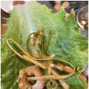 참숯 향 가득한 생막창이 기다리는 평택안중맛집 대구태영생막창