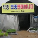 강화농산물판매장 이미지