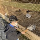 하귀하나로의원 | [아이와제주여행]제주소소펜션 후기 ,근처 맛집,하귀의원