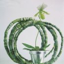 리빙플라워 이미지