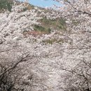 수정1배수지공원 이미지