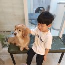 강아지대학로 | 혜화 애견카페 이색데이트 강아지대학로 아이들과 힐링타임