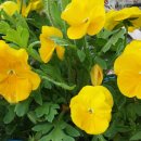 주식회사 탑건설 이미지