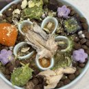 오즈독(OZ'dog) | [밥꾸일기] 강아지 사료 안먹을때 써본 밥꾸미기 찐추천템