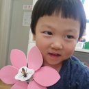 군내초교(병설) 이미지