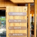 쏭빠 이미지