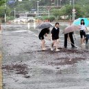 진해신항중학교 이미지