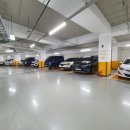 야당동물병원 이미지