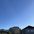 초록세상 이미지